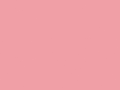 Ružová Plameniak