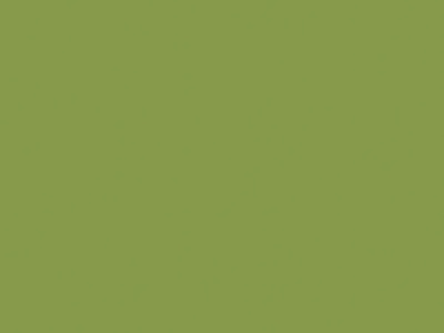 U626 Kiwi zelená